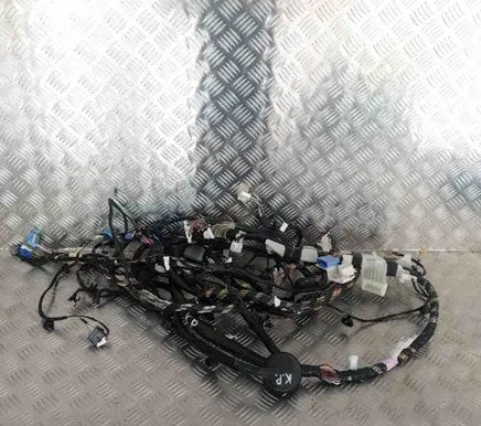 Tesla Model 3 Other wiring loom 106795400E