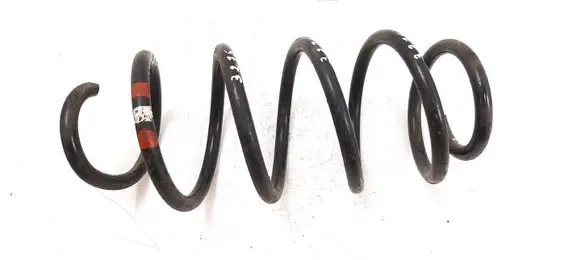 Front coil spring