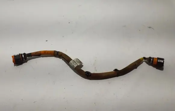 Renault Captur II Other wiring loom 295J31816R