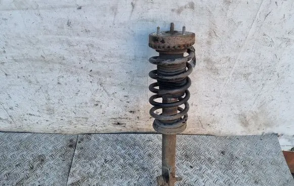 Chrysler 300 - 300C Front shock absorber with coil spring 04895627AB