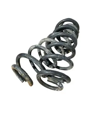 Rear coil spring