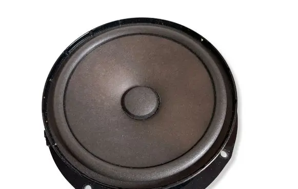 Volkswagen Golf VI Rear door speaker 1KM035454B 904175410003 330900