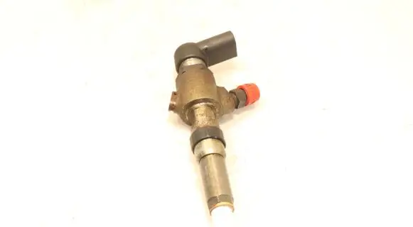 Citroen C2 Fuel injector