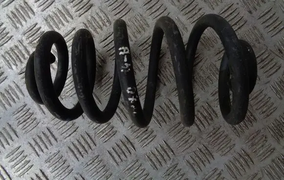 Rear coil spring