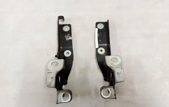 Citroen DS3 Front door hinges set 