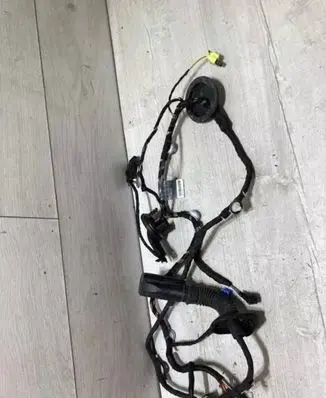 Front door wiring loom