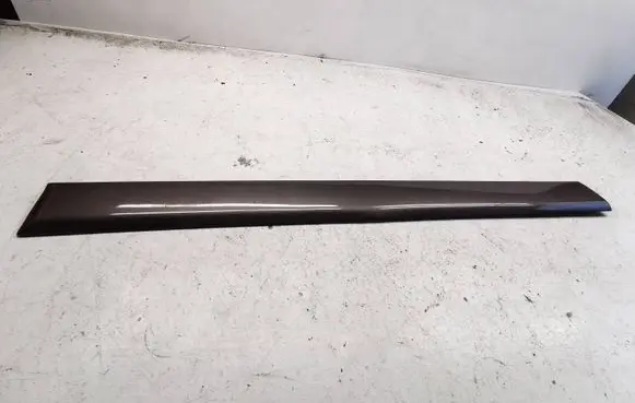 Front door trim (molding)