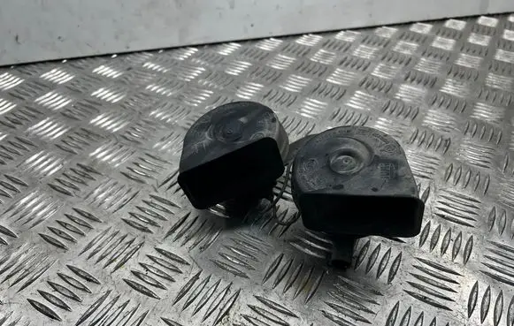 Horn signal