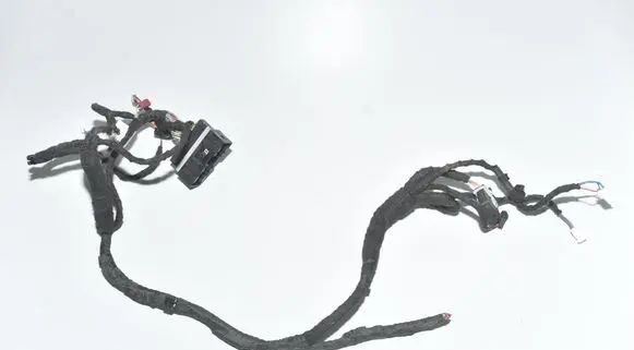 BMW X7 G07 Other wiring loom 8779718 60281581