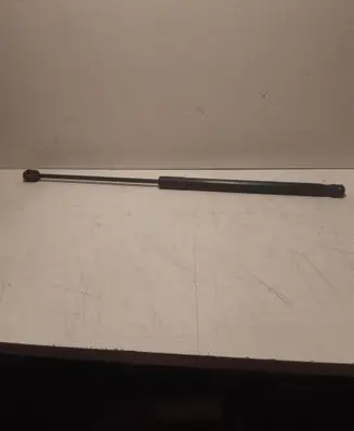 Tailgate/trunk strut/damper