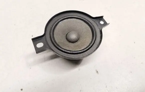 Panel speaker