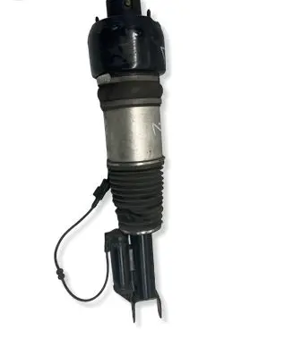 Mercedes-Benz CLS C219 Air suspension front shock absorber C086119
