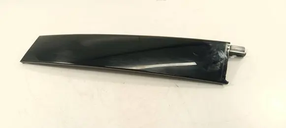 Front door trim (molding)