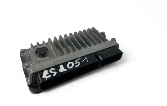 Lexus NX Engine control unit/module ECU 8966178830