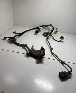 Volkswagen Golf V Front door wiring loom 1K0971121AG