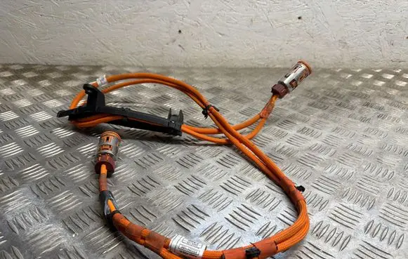 BMW iX Other wiring loom 7670C1002 50127486 EG0286102A