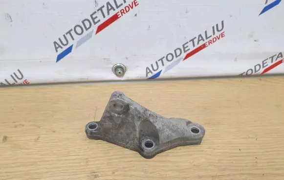 BMW X1 E84 Fuel pump bracket 7810698 13517810698