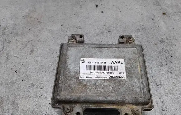 Opel Corsa D Engine control unit/module ECU 55576685