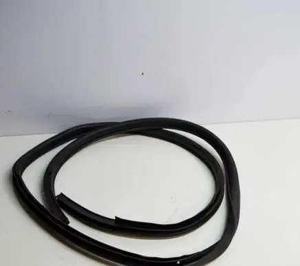 Nissan Juke I F15 Rubber seal rear door 