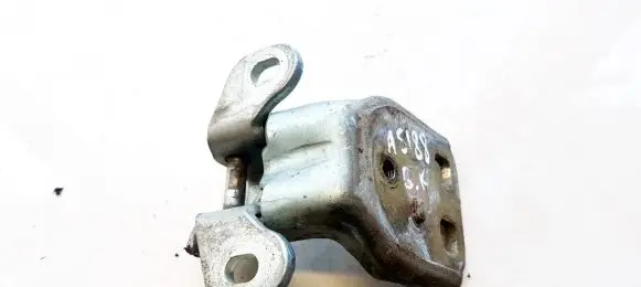 Rear door lower hinge