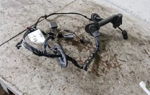 Ford C-MAX I Front door wiring loom