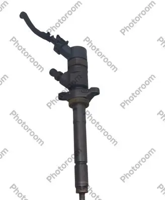 Peugeot 207 Fuel injector 0445110281 592405