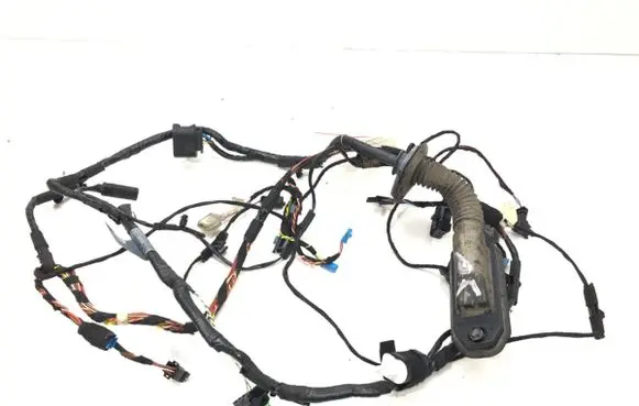 BMW X5 E70 Front door wiring loom 9203280