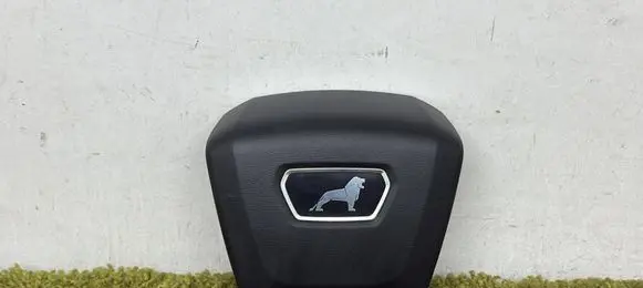 Citroen TEST Steering wheel airbag cover 6356313 6356313E