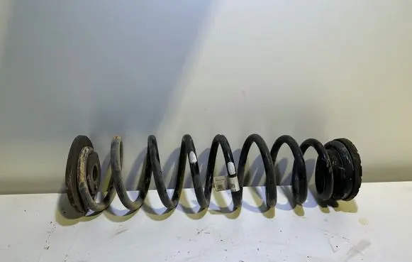 Rear coil spring
