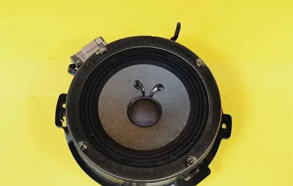 Front door speaker