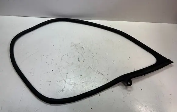 Audi E-tron GT Front door rubber seal 9J1831721AL