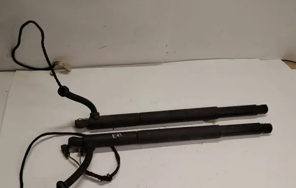 BMW X6 E71 Tailgate/trunk strut/damper 7286117 536020 07092010