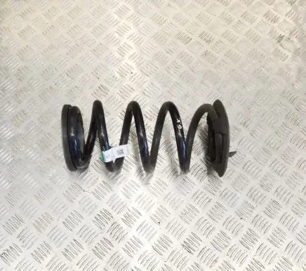 Tesla Model Y Rear coil spring 118847400B