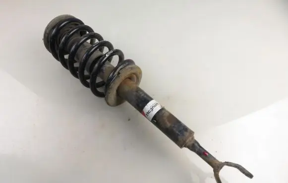 Volkswagen PASSAT B5.5 Front shock absorber with coil spring AGA048MT