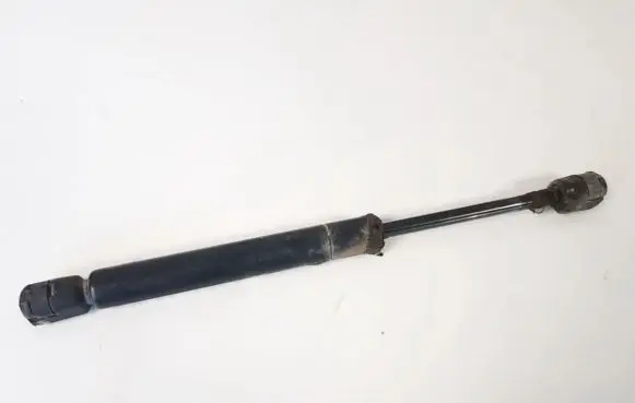 Tailgate/trunk strut/damper