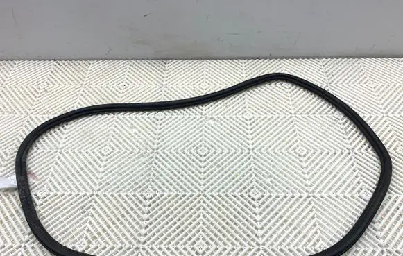 Land Rover Range Rover Evoque L551 Rubber seal front door (on door) 