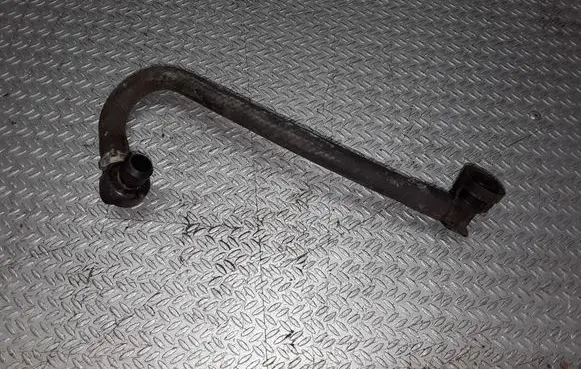 Renault Scenic RX Vacuum line/pipe/hose