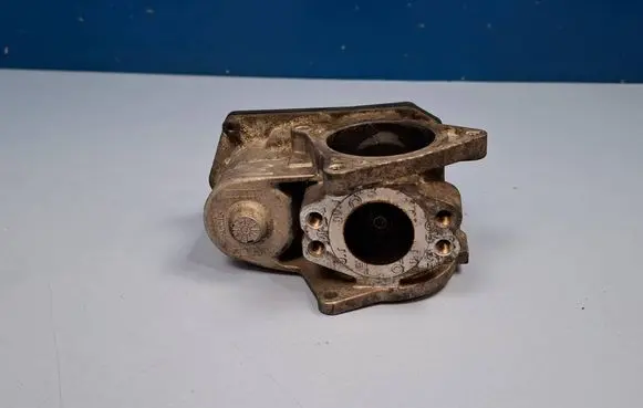 EGR valve