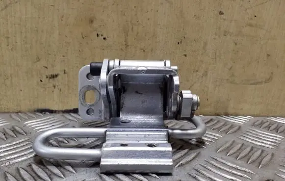 Seat Exeo (3R) Rear door lower hinge
