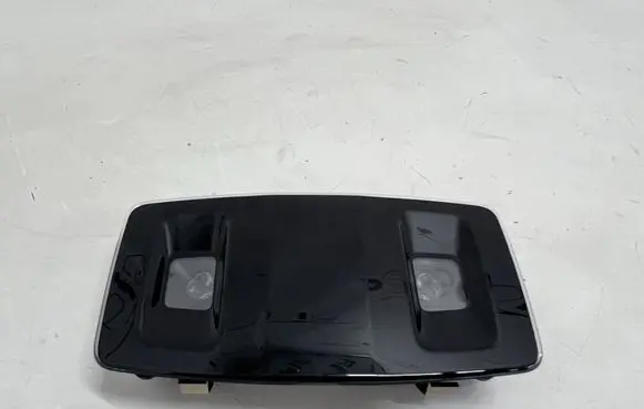 Lexus NX Rear seat light 1D153105G