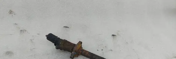 Citroen Berlingo Fuel injector 0445110311