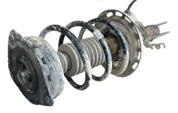 Renault Megane III Front shock absorber with coil spring 540100026R