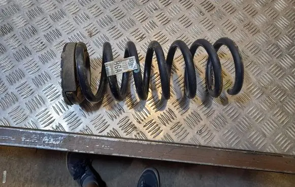 Ford Fusion II Rear coil spring DG9C5560ANF
