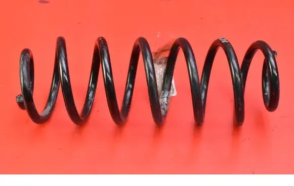Rear coil spring