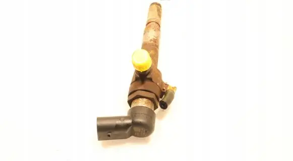 Nissan Qashqai Fuel injector 8200294788