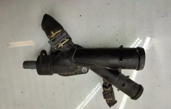 Thermostat/thermostat housing