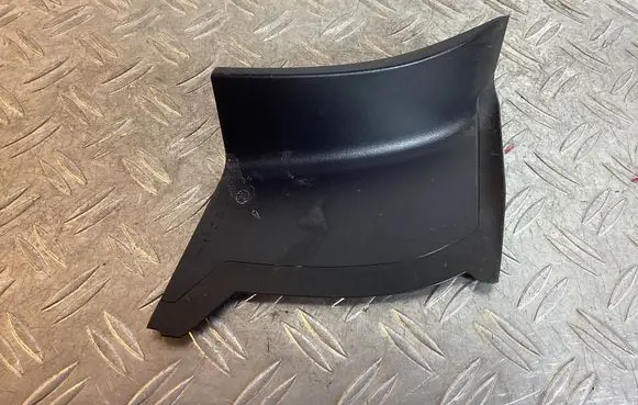 Rear/tail light trim molding