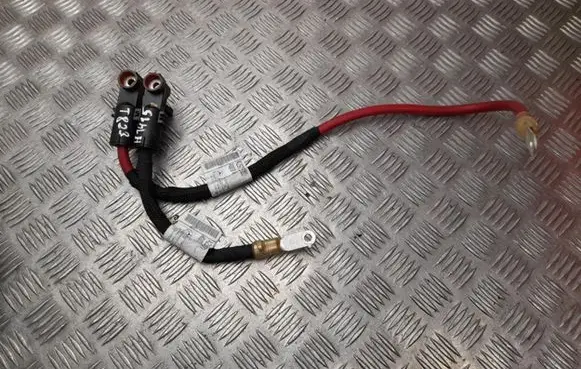 Mercedes-Benz EQE v295 Other wiring loom A2975407203