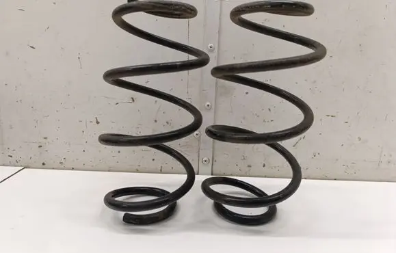 Rear coil spring
