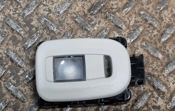 Chrysler Pacifica Rear seat light 55057420AE
